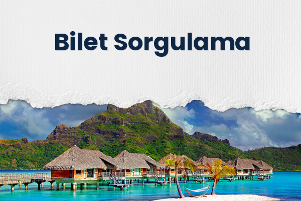 Bilet Sorgulama 