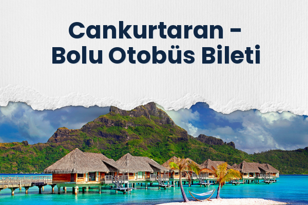 Cankurtaran → Bolu Otobüs Bileti