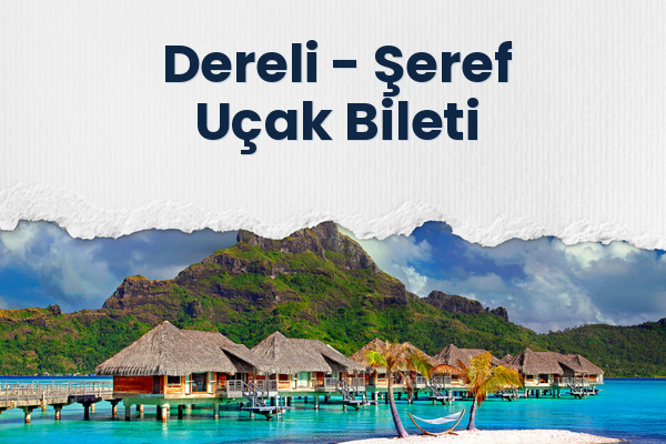 Dereli → Şeref Uçak Bileti