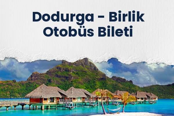 Dodurga → Birlik Otobüs Bileti