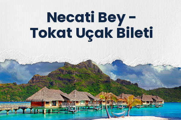 Necati Bey → Tokat Uçak Bileti
