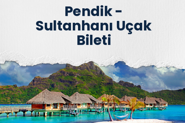 Pendik → Sultanhanı Uçak Bileti