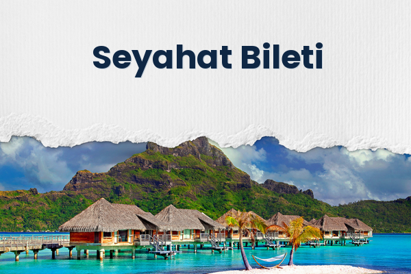 Seyahat Bileti 