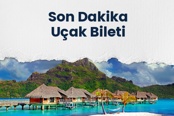 Son Dakika Uçak Bileti