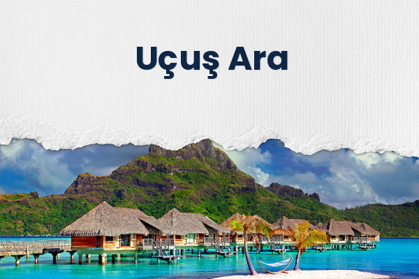 Uçuş Ara