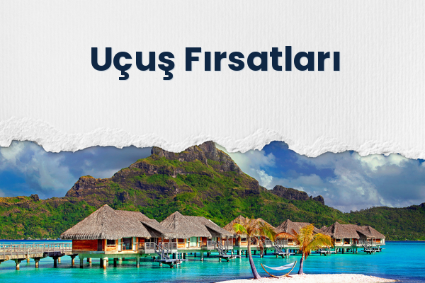 Uçuş Fırsatları 