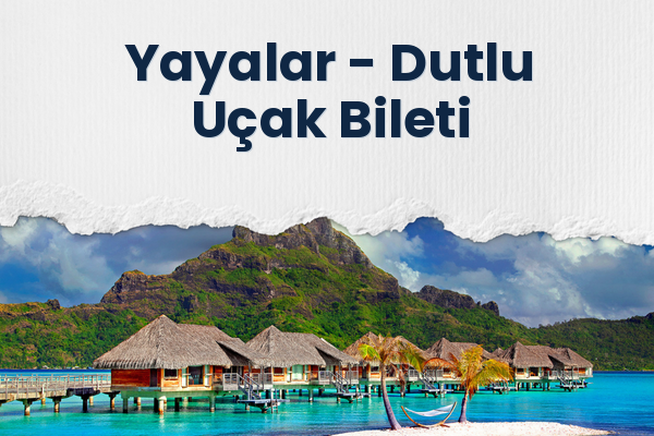 Yayalar → Dutlu Uçak Bileti